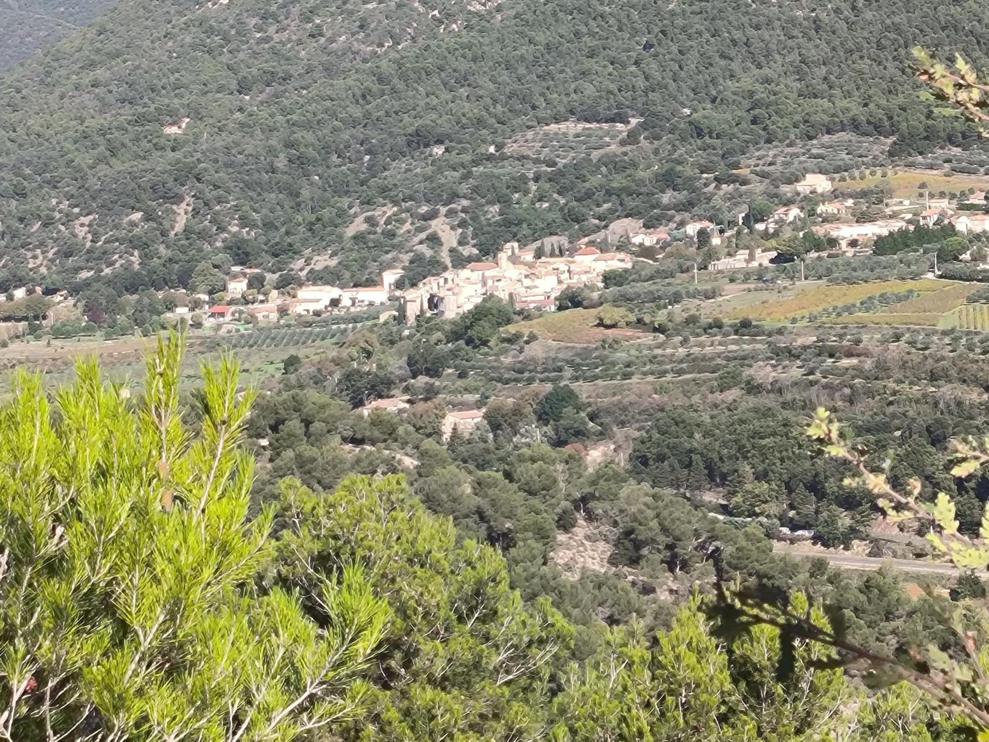 A L'Oree Des Oliviers Venterol  Экстерьер фото